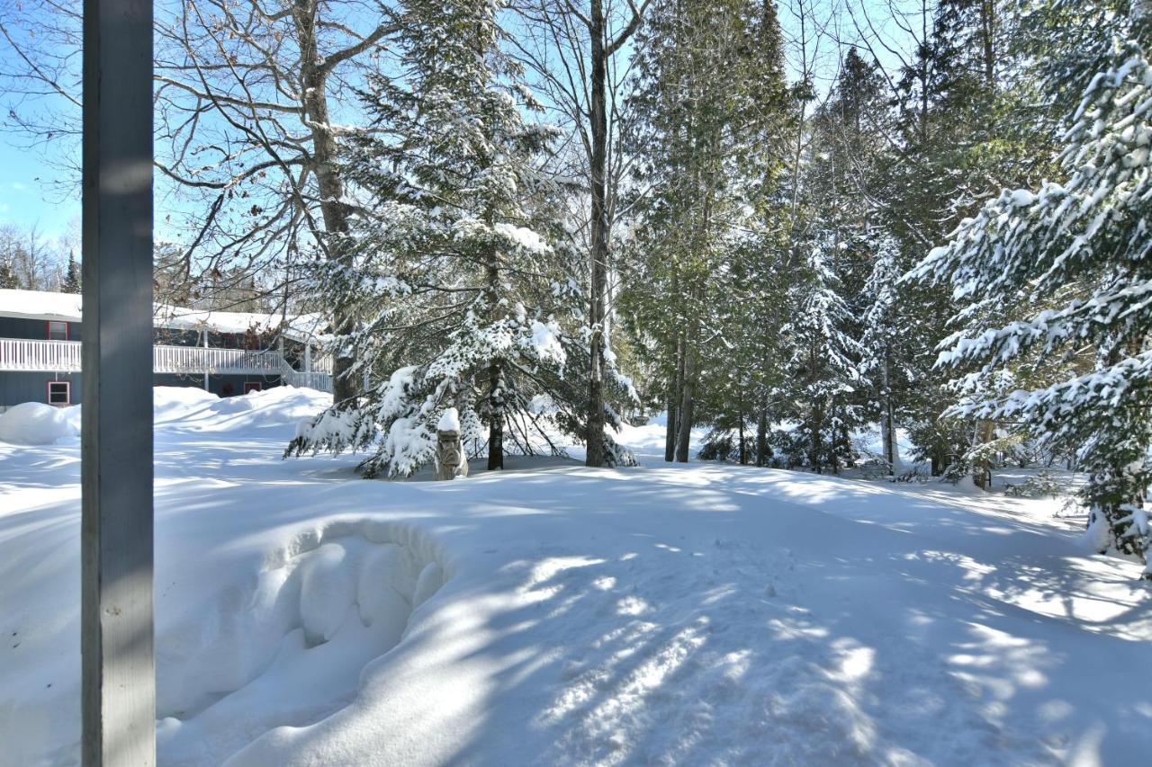 Hidden Gem, 3 Bed Cozy Condo - Dogs Welcomed Bayfield Exterior foto